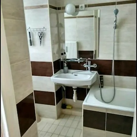 Center 维斯普雷姆