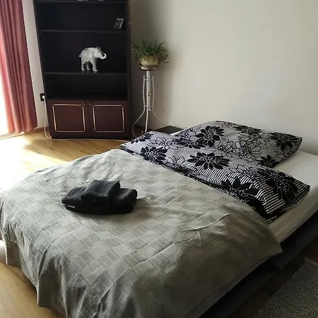 Center * 维斯普雷姆