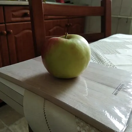 Center * 维斯普雷姆