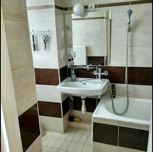 Center 维斯普雷姆