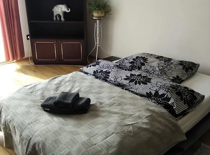 Center * 维斯普雷姆